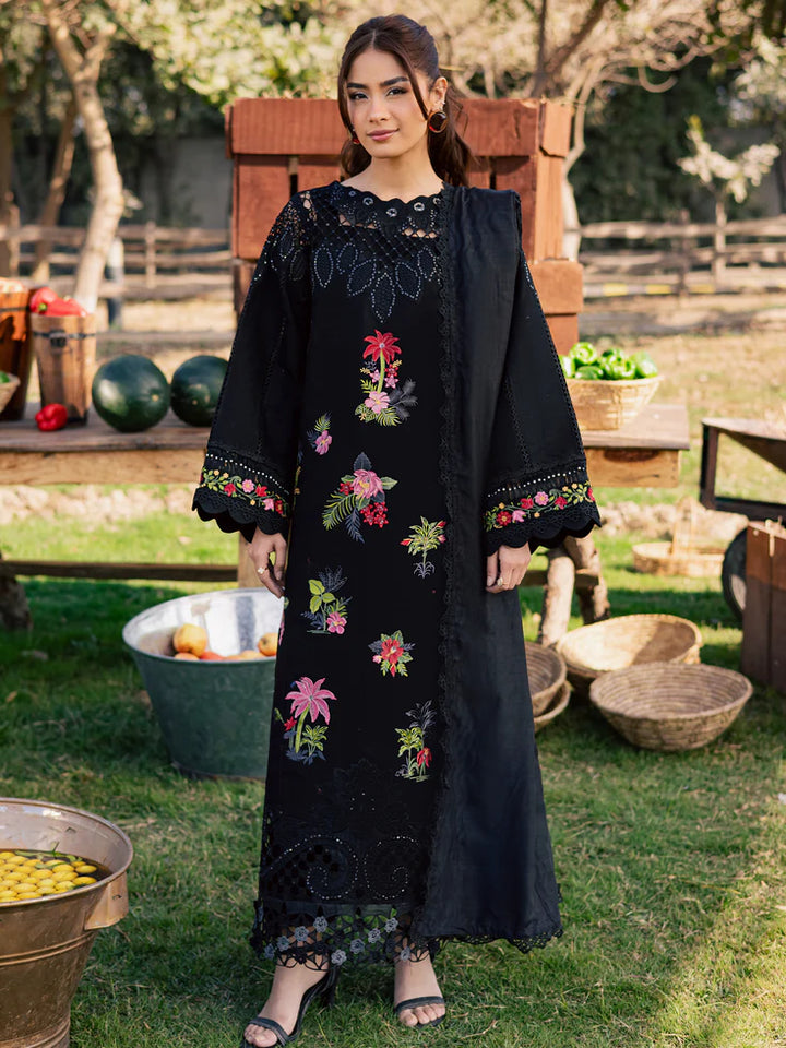 SQU-11 | 3 PC LAWN